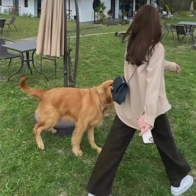 龙族
